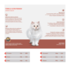 Gatos-Urinary Health-CANBO CAT-Gatos adultos - Imagen 2
